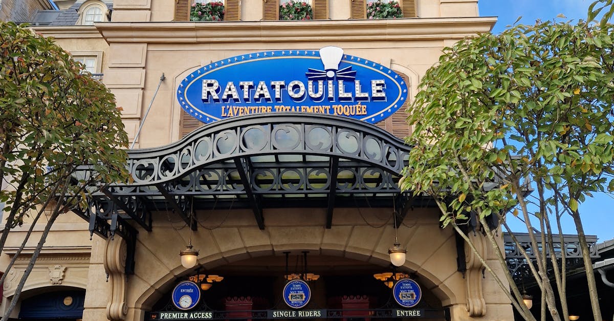 Disney’s Hidden Crisis: Are Guests Faking Disabilities to Ditch Lines?