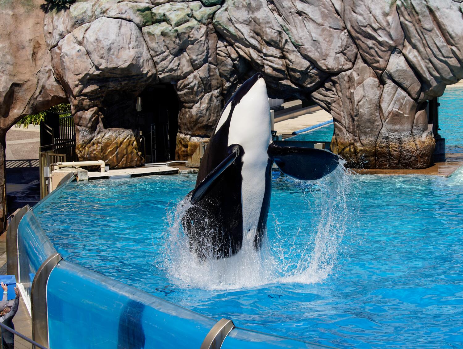 SeaWorld Halloween Event Ends Abruptly