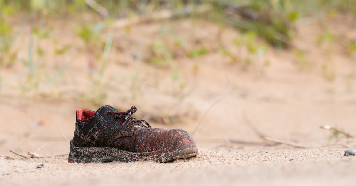 When the Magic Fades: Disneyland’s Epic Battle Against Lost Belongings, One Tiny Shoe at a Time