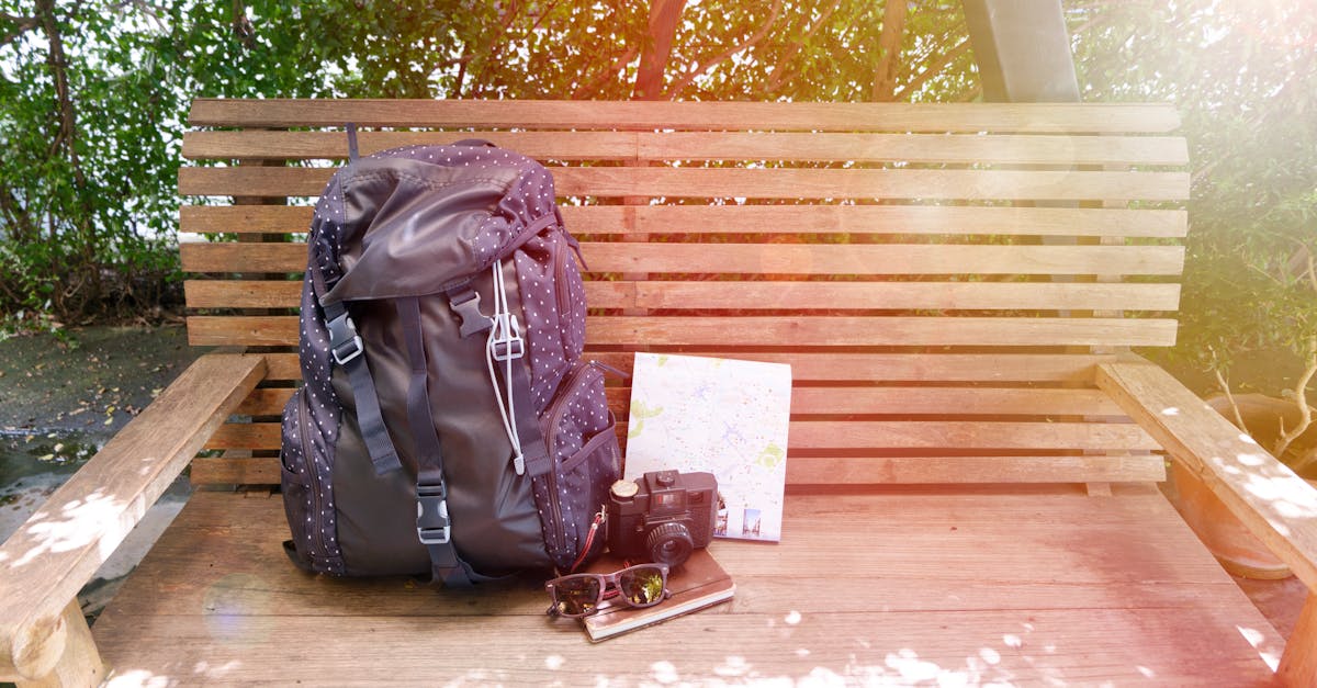 Your 2025 Theme Park Adventure: Why You’re Already Behind (And How to Catch Up)