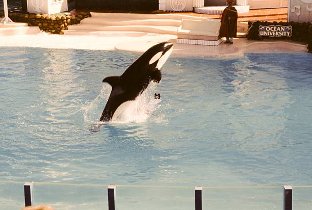 Guests ‘Rolled Out’ of SeaWorld, Feds Roll In