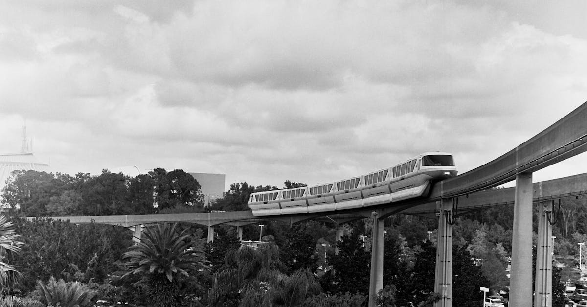 Disney World’s Monorail Takes an Unexpected Turn