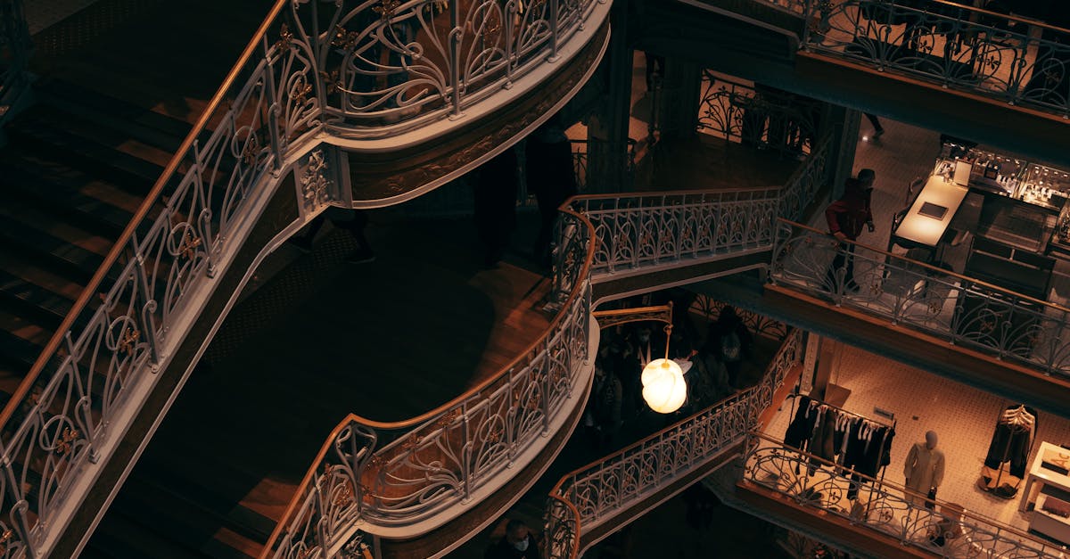 Disney’s Stroller Crackdown: Are Families Being Pushed Out of the Magic Kingdom?