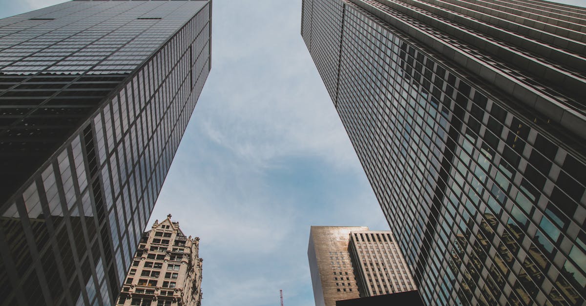 SeaWorld’s Top Engineer Teases 2026: Is ‘Unlike Anything’ Pure Hype or a Game-Changer?