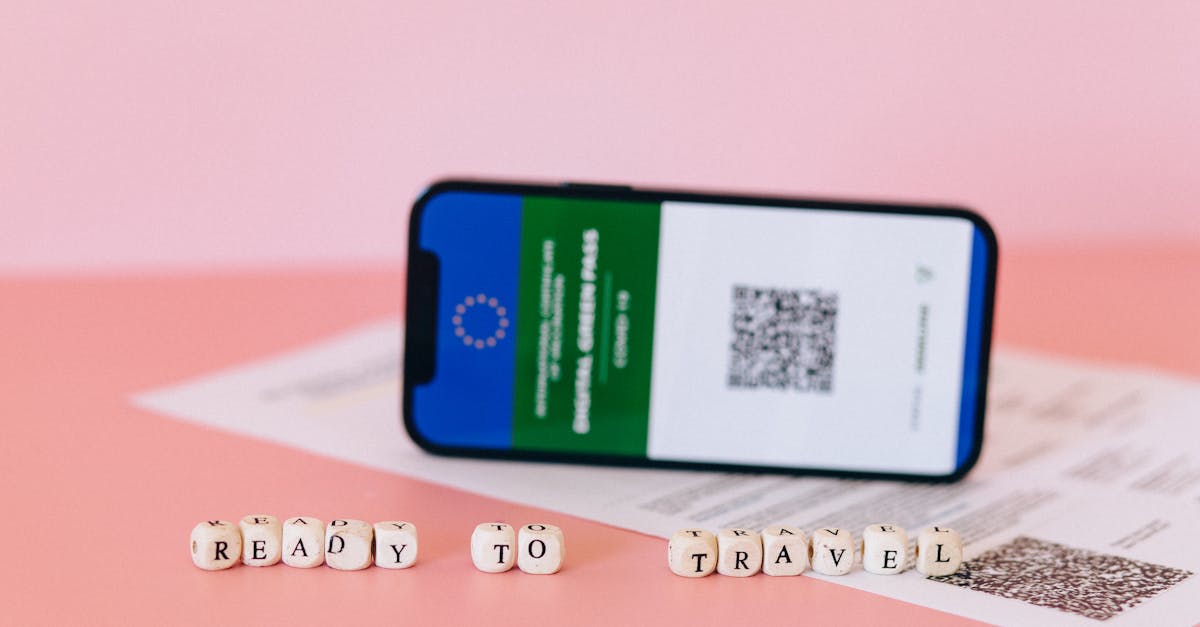 Uninvited Passenger Rattles Disney Ride