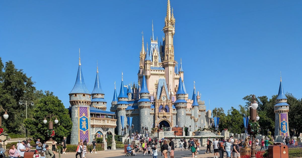 Cinderella Castle’s ‘Bad Hair Day’ Disrupts Magic Kingdom Views
