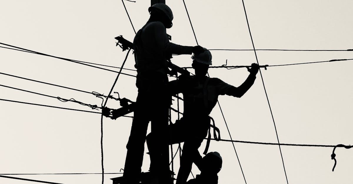 Disneyland's January 'Purge' Erases Beloved Attractions